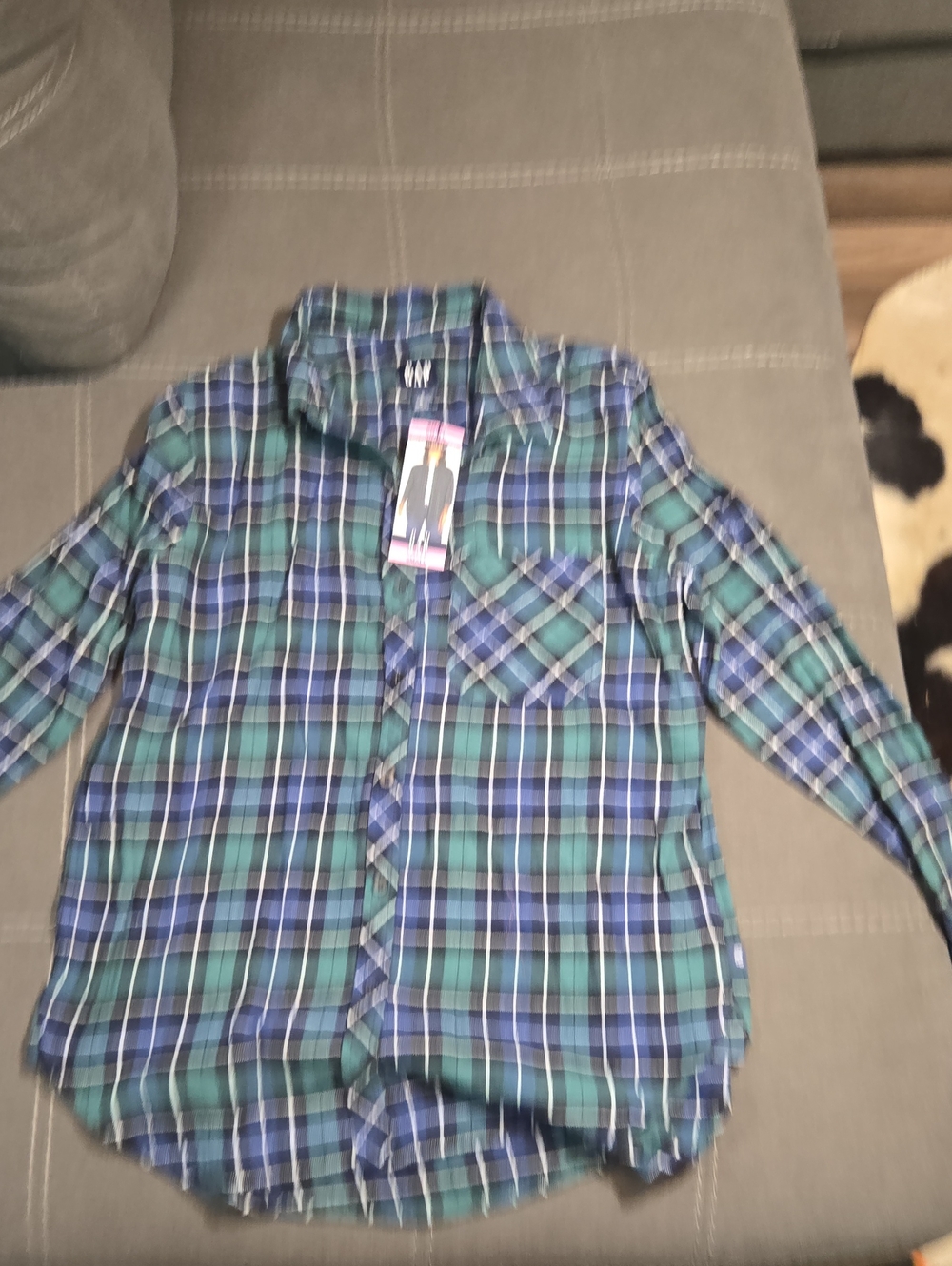 Plaid Button-Up Shirt in Blue & Green - Women's